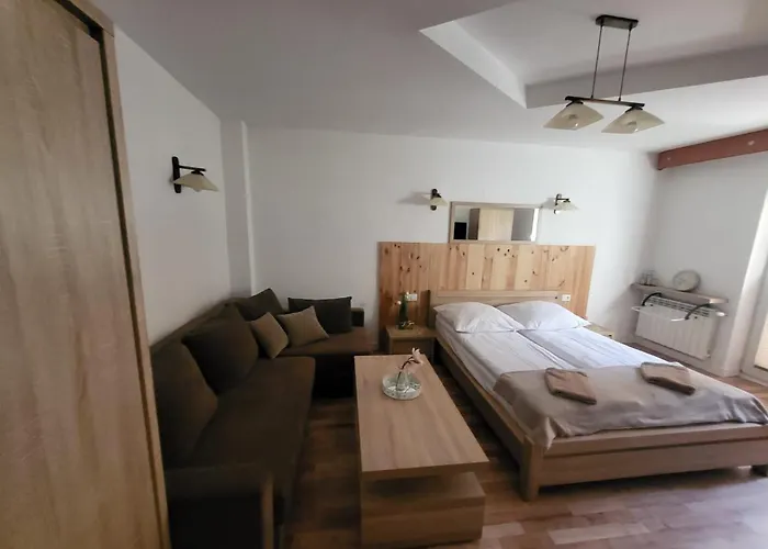 בית הארחה Pod Baszta מוז'ינה